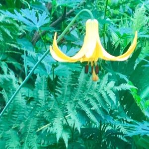 Meet your Posher, Deborah